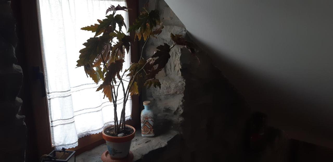 Sosas de Laciana Casa Antonio Y Benina 빌라 외부 사진